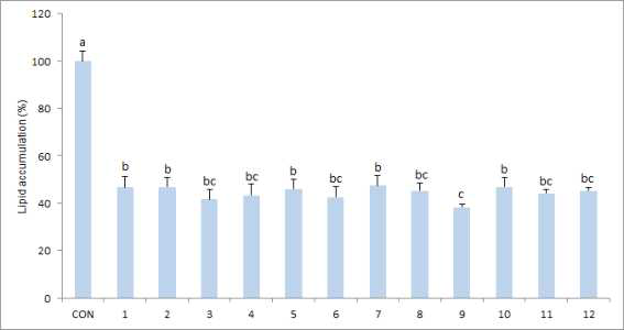 Effect of pepper seed extracts from 12 different cultivars on lipid accumulation (% of control) in differentiated 3T3-L1 adipocytefrom.