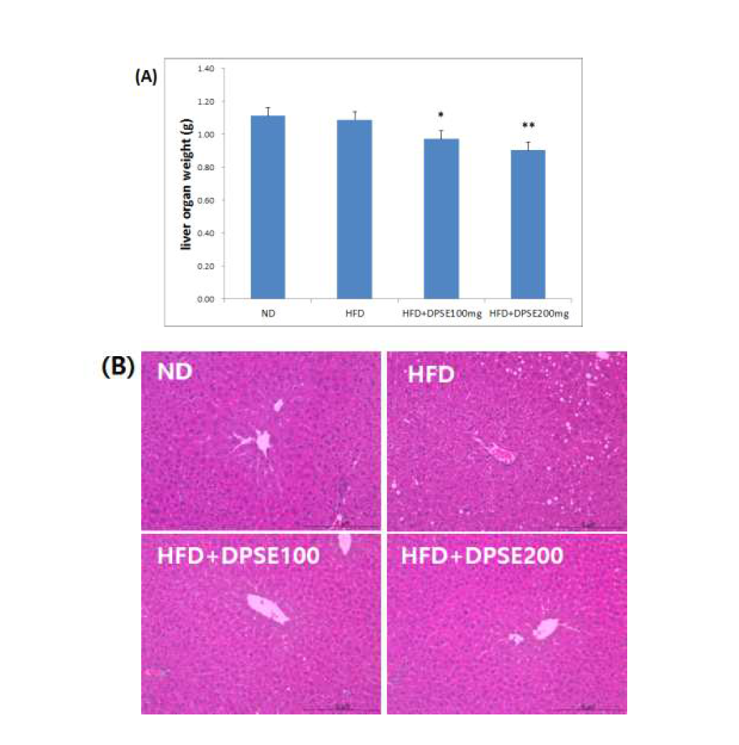 Effect of pepper seed ethanolic extract on liver in mice fed experimental diets for 7 weeks. (A) liver tissue weight (B) histological change of liver tissue. *P <0.05 compared with the HFD by Dunnett's t-test. **P <0.01 compared with the HFD by Dunnett's t-test.