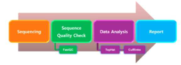 Sequence data analysis procedure.