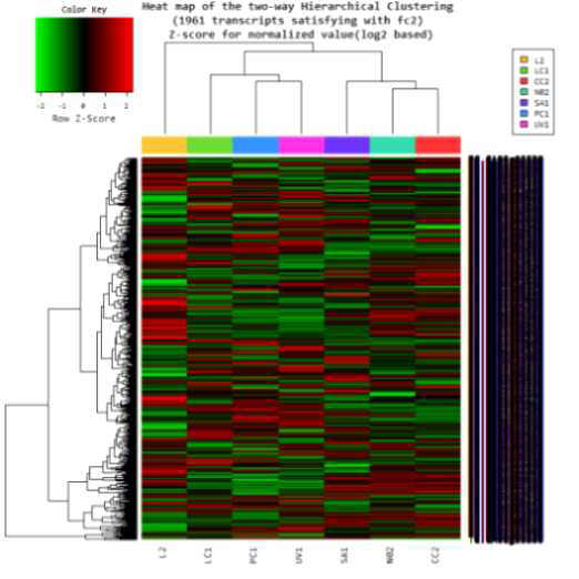 Data hierachical analysis of 7 samples. LC1, temperature control; L2, temperature treatment; CC2, chemical control; SA1, salicylic acid treatment; NO2, NO treatment; PC1, physical control; UV1, UV treatment.