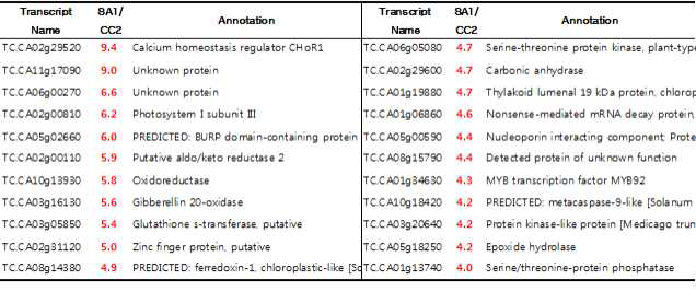 Up regulated genes by salicylic acid treatment from pepper seedlings.