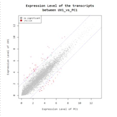 Comparison of gene expression level between UV treatment (UV1) and physical control (PC1). Red dots indicates the genes showed significant gene expression change (fold change >= 4).