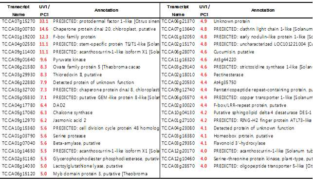 Up regulated genes by UV treatment from pepper seedlings.