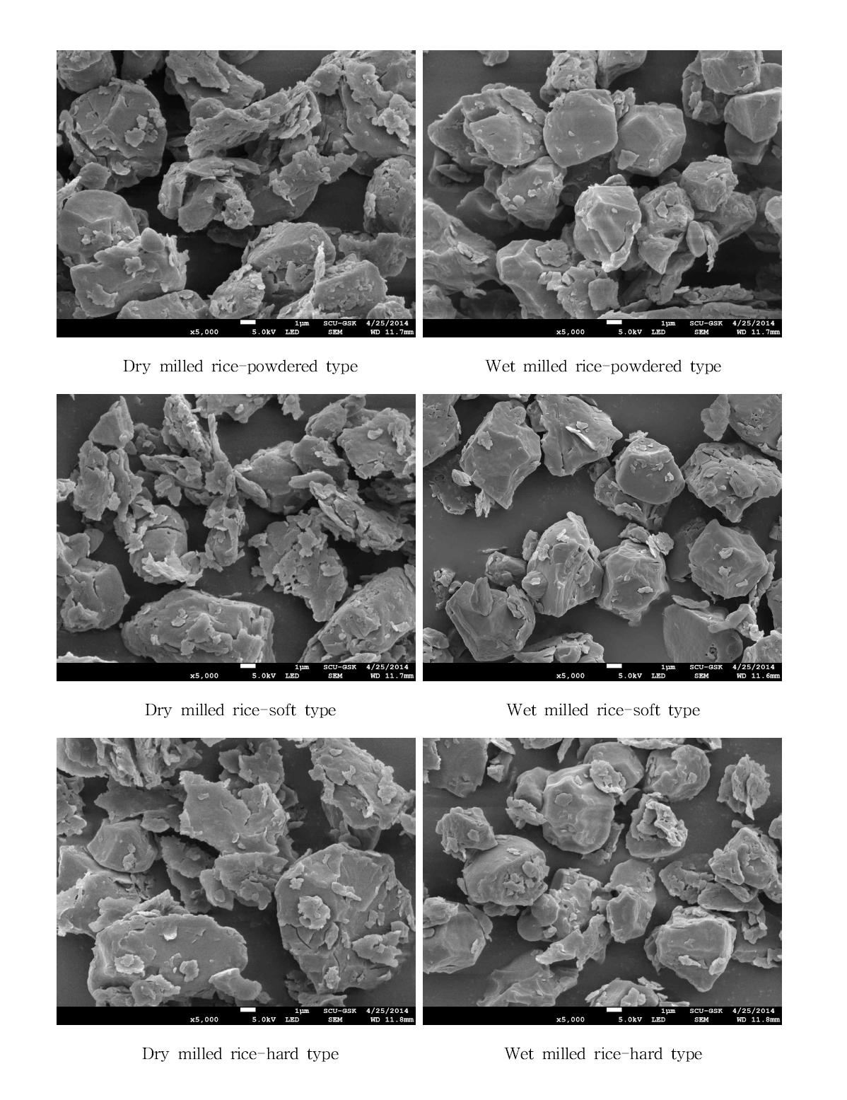 Scanning electronic microphotographs of rice flour by different grinding methods.