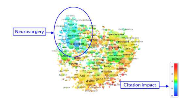 임상 신경학 분야의 citation impact map