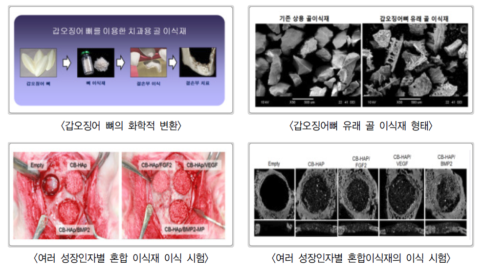 수산실용화기술개발사업 사례