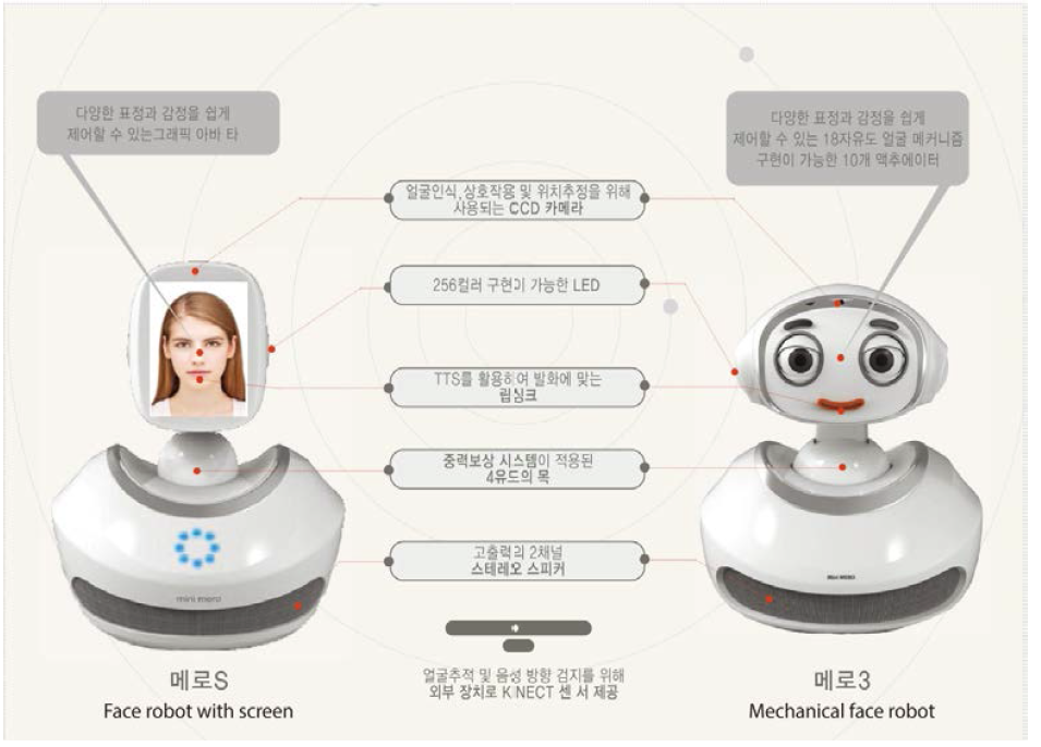 KIST의 메로-S