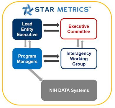 STAR METRICS 거버넌스 체제