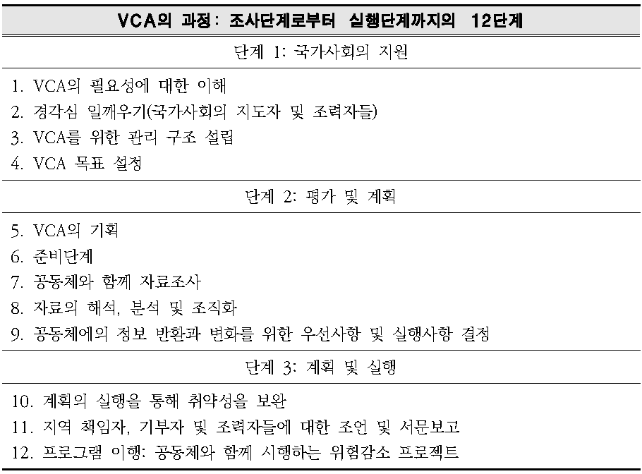 VCA의 과정