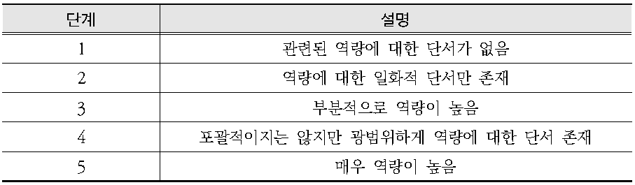 재난관리 역량 수준 정의