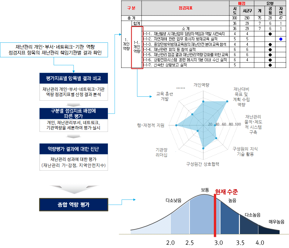 재난관리 역량 분석 흐름