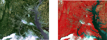 같은 지역을 나타내는 위성 탐사 사진(좌: true color, 우: false color)