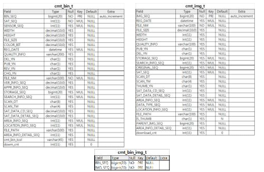 cmt_bin_t, cmt_img_t, cmt_bin_img_t 테이블들의 칼럼