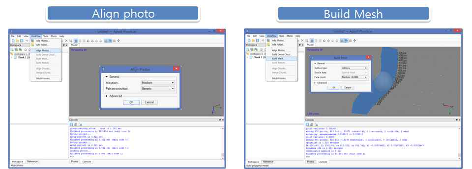 Align photo 및 Build mesh 기능