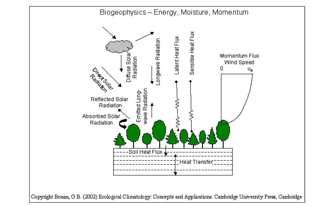 CLM Components: Biogeophysics