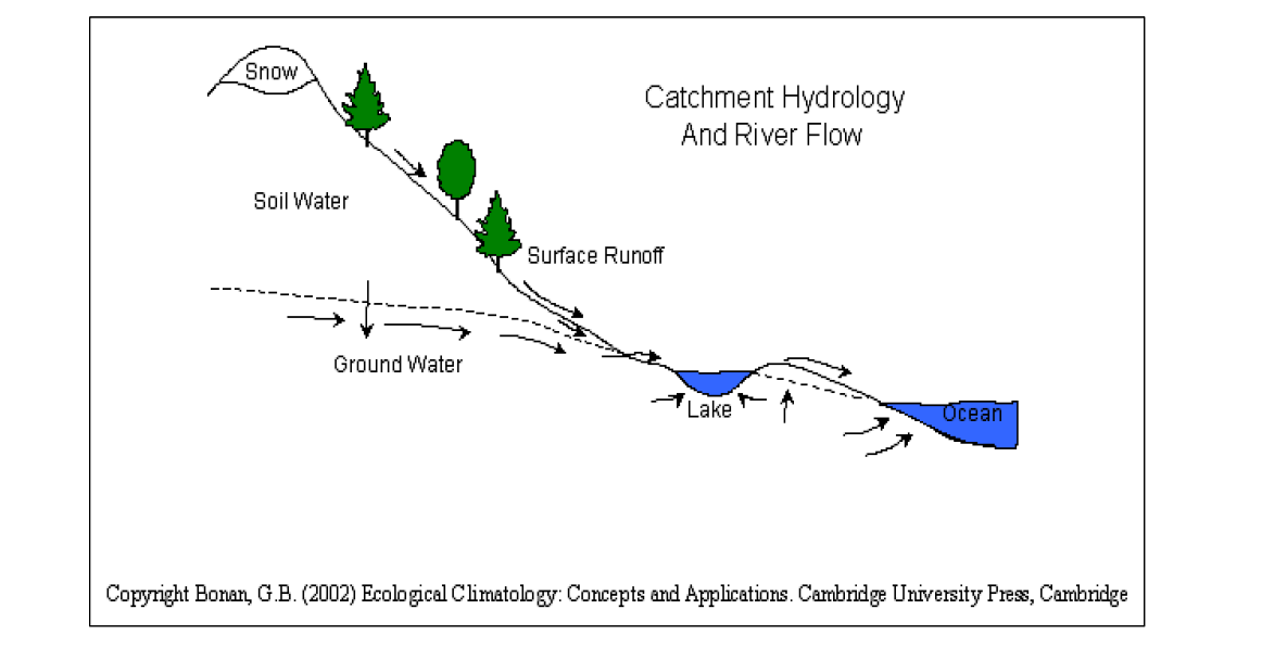 CLM Components: Hydrological Cycle