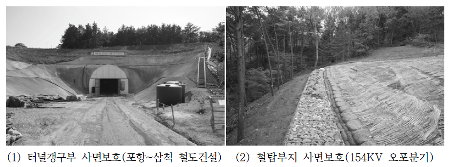 터널갱구부 및 철탑부지의 사면보호 현황