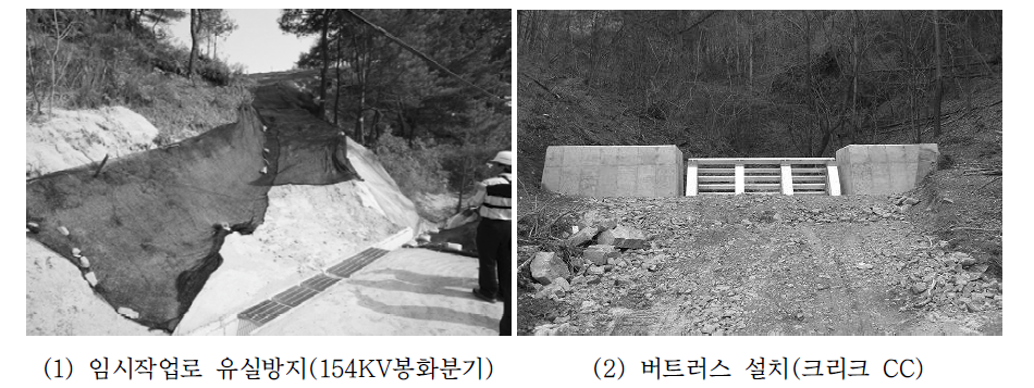 임시작업로 유실방지 및 버트러스 설치 현황