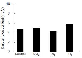 Carotenoids content of A. platensis WT in nano-bubble oxygen, hydrogen and carbonated water.