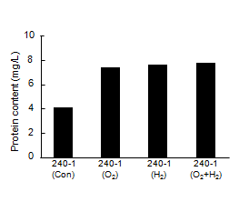 Protein content of 240-1 in nano-bubble oxygen and hydrogen water.