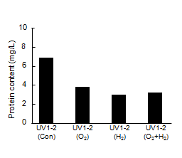 Protein content of UV1-2 in nano-bubble oxygen and hydrogen water.