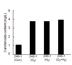 Carotenoids content of 240-1 in nano-bubble oxygen and hydrogen water.