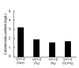 Carotenoids content of UV1-2 in nano-bubble oxygen and hydrogen water.