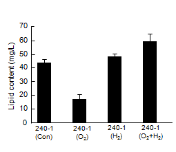 Lipid content of 240-1 in nano-bubble oxygen and hydrogen water.