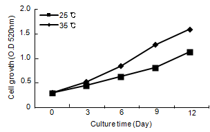 Effect of cell culture temperature of A. platensis on cell growth