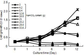 Effect of NaHCO3 content in SOT medium of A. platensis on cell growth