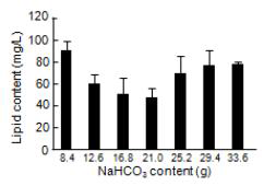 Effect of NaHCO3 content in SOT medium of A. platensis on lipid content