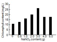 Effect of NaNO3 content in SOT medium of A. platensis on chlorophyll content