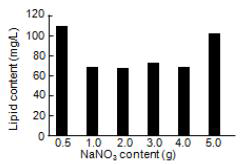 Effect of NaNO3 content in SOT medium of A. platensis on lipid content
