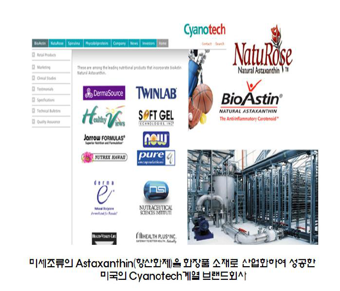 미세조류 바이오소재를 활용하여 산업화하고 있는 Cyanotech.