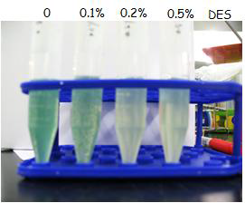 Arthrospira cells treated with several doses of DES.
