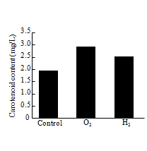 Carotenoid content of C. vulgaris in nano-bubble oxygen and hydrogen water.