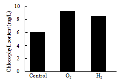 Chlorophyll content of N. oculata in nano-bubble oxygen and hydrogen water.