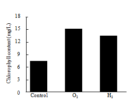 Chlorophyll content of D. salina in nano-bubble oxygen and hydrogen water.