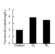 Carotenoid content of D. salina in nano-bubble oxygen and hydrogen water.