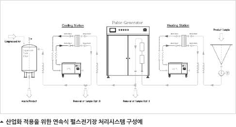 펄스전기장 발생장치의 구조