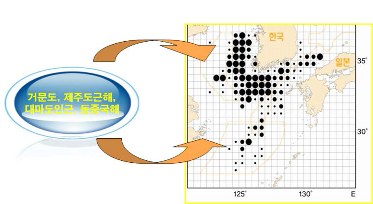 대형선망의 주요어장