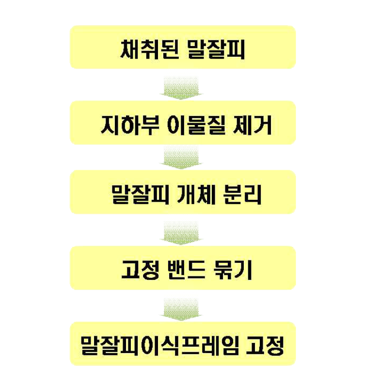 말잘피 육상 고정 절차