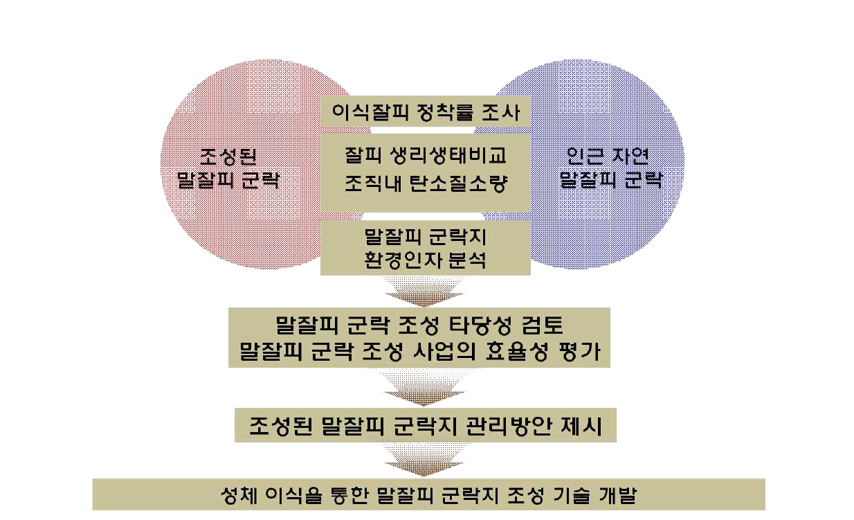 말잘피 군락조성 타당성 검토 및 관리방안 제시 연구범위