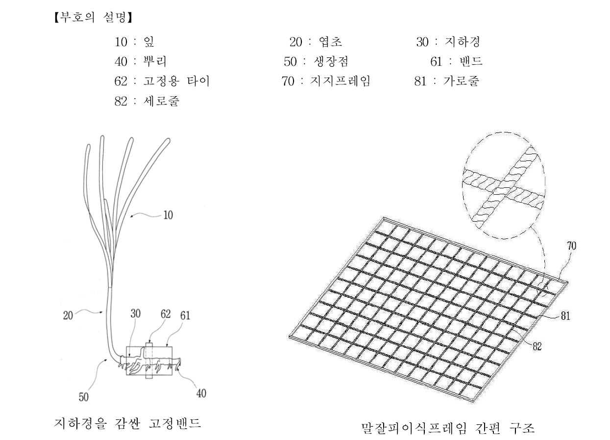 말잘피고정방법과 말잘피이식프레임 간편구조(해양생태기술연구소, 2013a)