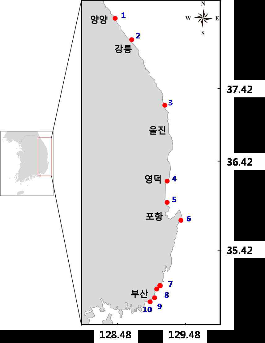 말잘피 서식현황 조사 장소