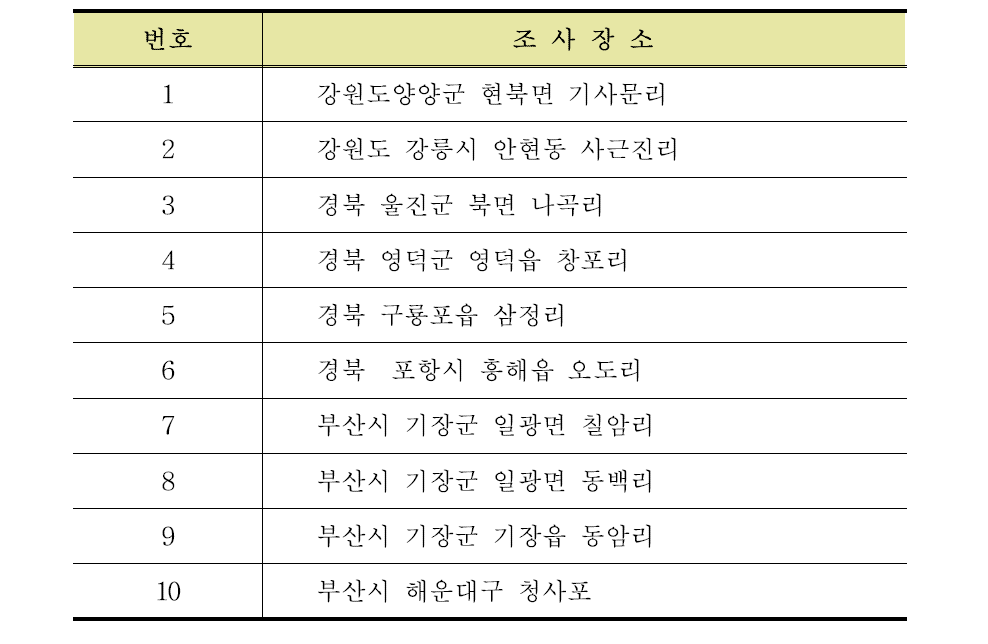 동해안 말잘피 서식현황 조사장소