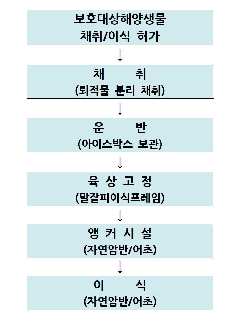 말잘피 이식 절차