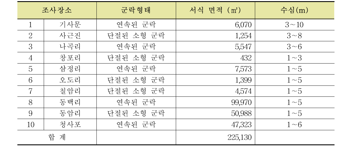 동해안 말잘피 군락형태와 서식면적