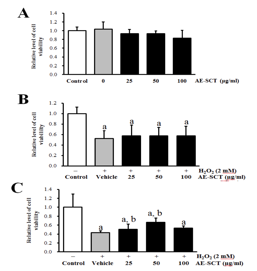 산화수소로 의한 세포사에 미치는 미더덕 껍질 열수 추출물의 효과 (A) 미더덕 껍질 열수 추출물의 세포독성. 5x104 세포에 미더덕 껍질 열수추출물을 농도별로 24시간 처리한 뒤 MTT 분석을 실시하였다. (B) 미더덕 껍질 열수 추출물의 회복 효과. 과산화수소 2 mM을 처리하여 세포사를 유도한 뒤, 다른 농도의 미더덕 껍질 열수 추출물을 처리하였다. (C) 미더덕 껍질 열수 추출물의 보호 효과