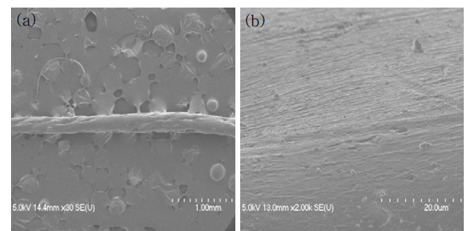 SCT/PLA 복합 fiber의 표면 FE-SEM 촬영결과 [(a) 30X, (b) 2,000X]